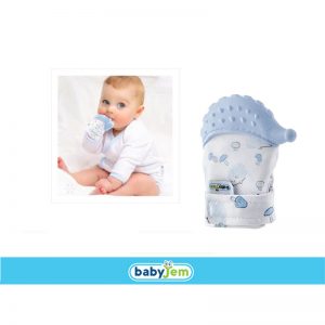BABYJEM 612  GLOVE TEETHER HEDGEHOG BLUE