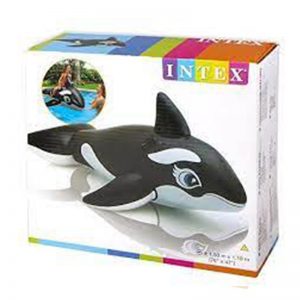 WHALE RIDE ON NP