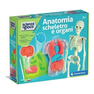 CLEMENTONI SCIENCE & PLAY ANATOMY SKELETON AND ORGANS